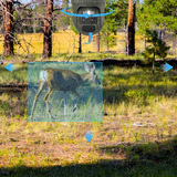 Reolink Reolink Trackmix Series G770 con Solarpanel 2, Cámara de vigilancia camuflaje