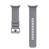 Samsung PeakForm Band, Correa de reloj gris