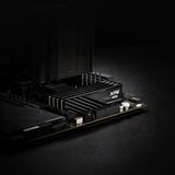 ADATA LANCER BLADE módulo de memoria 64 GB 2 x 32 GB DDR5 ECC, Memoria RAM negro, 64 GB, 2 x 32 GB, DDR5, 6000 MHz, 288-pin DIMM