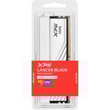 ADATA Lancer Blade módulo de memoria 32 GB 2 x 16 GB DDR5 5600 MT/s 288-pin DIMM ECC, Memoria RAM blanco, 32 GB, 2 x 16 GB, DDR5, 288-pin DIMM, Blanco