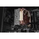 ALTERNATE Gaming-PC Special Edition • RTX 4060 • AMD Ryzen™ 5 5600 • 16 GB RAM negro/Transparente