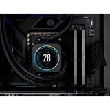 Corsair DIMM 32 GB DDR5-6000 (2x 16 GB) Dual-Kit, Memoria RAM gris