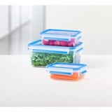 Emsa CLIP & CLOSE 508568 recipiente de almacenar comida Rectangular Establecer 3,7 L Azul, Transparente 5 pieza(s), Caja transparente/Azul, Establecer, Rectangular, 3,7 L, Azul, Transparente, Polipropileno (PP), Elastómero termoplástico (TPE), 0 - 100 °C