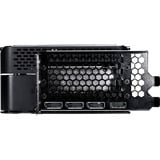 Gainward NE75080019T2-GB2030P, Tarjeta gráfica 