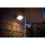 Philips Hue Proyector para exteriores Discover, Luz de LED negro, Philips Hue White and Color ambiance Proyector para exteriores Discover, Luz de pared inteligente, Negro, LED, Bombilla(s) no reemplazable(s), Blanco, 2000 K