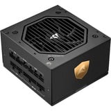 Sharkoon Rebel P20 850W, Fuente de alimentación de PC negro