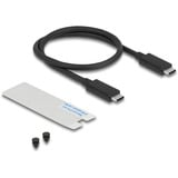 DeLOCK Carcasa para unidad M.2 NVMe USB 40 Gbps estilo gaming, Caja de unidades gris