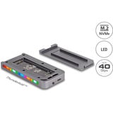 DeLOCK Carcasa para unidad M.2 NVMe USB 40 Gbps estilo gaming, Caja de unidades gris
