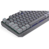 ENDORFY EY5D036, Teclado para gaming gris