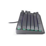 ENDORFY EY5D036, Teclado para gaming gris