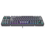 ENDORFY EY5D036, Teclado para gaming gris
