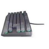ENDORFY EY5D036, Teclado para gaming gris