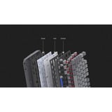 ENDORFY Thock V2 TKL, Teclado para gaming gris