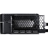 Gainward NE75090019R5-GB2020P, Tarjeta gráfica 