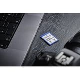Intenso 4GB SDHC Clase 10, Tarjeta de memoria 4 GB, SDHC, Clase 10, 25 MB/s, Resistente a golpes, Resistente a la temperatura, A prueba de rayos X, Negro