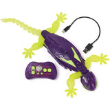 Spin Master HEX BOTS, Glow-in-the-Dark Gecko, juguetes robóticos por control remoto recargables, juguetes que trepan por las paredes para gastar bromas, para niños y niñas a partir de 4 años, Muñecos HEX BOTS, Glow-in-the-Dark Gecko, juguetes robóticos por control remoto recargables, juguetes que trepan por las paredes para gastar bromas, para niños y niñas a partir de 4 años, 4 año(s)