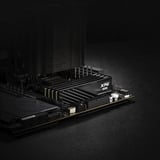 ADATA DIMM 48 GB DDR5-6000 (2x 24 GB) Kit Dual, Memoria RAM negro