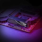 ADATA DIMM 48 GB DDR5-6000 (2x 24 GB) Kit Dual, Memoria RAM negro