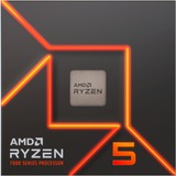 AMD 100-000000593WOF, Procesador 