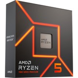 AMD Procesador