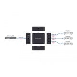 DeLOCK Divisor S/PDIF TOSLINK 1 Entrada 3 Salidas, con alimentación USB, Divisores & Conmutadores negro