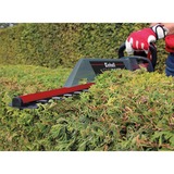 EINHELL GC-EH 6055/1 Cuchilla sencilla 600 W 3,47 kg, Cortasetos rojo/Negro, Corriente alterna, 600 W, 220 - 240 V, 50 Hz, 3,47 kg, 190 mm