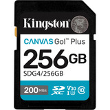 Kingston SDG4/256GB, Tarjeta de memoria negro