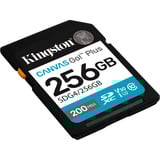 Kingston SDG4/256GB, Tarjeta de memoria negro