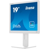 iiyama B1980D-W5, Monitor LED blanco