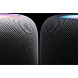 Apple HomePod (Medianoche), Altavoz negro (mate)