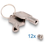 DeLOCK Marco intercambiable Slim Bay para 2 x 2,5″ U.2 NVMe SSD, Caja de unidades 