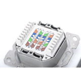 Digitus Toma de datos CAT.6A, superficie, apantallada, 2x RJ-45 LSA, Caja de conexiones blanco