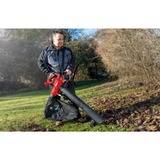 EINHELL Soplador/Aspirador de hojas GC-EL 3000 E, Aspirador/soplador rojo/Negro