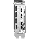 ZOTAC ZT-B50700E-10P, Tarjeta gráfica 