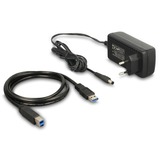 DeLOCK Estación de acoplamiento dual para 2 x SATA HDD / SSD 