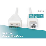 Digitus Cable de conexión USB 2.0 USB-A (enchufe) > USB-B (enchufe) beige
