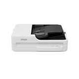 Epson WorkForce DS-1730, Escáner plano gris claro/Gris oscuro