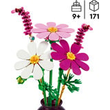 LEGO Botanicals Kosmeen, Juegos de construcción 