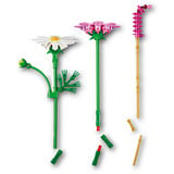LEGO Botanicals Kosmeen, Juegos de construcción 