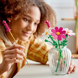 LEGO Botanicals Kosmeen, Juegos de construcción 