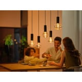 Philips Hue White & Color Ambiance Lightguide G95 Globo - Lámpara inteligente E27, Lámpara LED 
