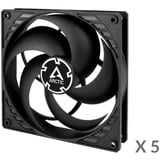 ARCTIC P14 Value Pack Carcasa del ordenador Ventilador 14 cm Negro negro, Ventilador, 14 cm, 1700 RPM, 0,3 sonio, 72,8 cfm, 123,76 m³/h