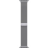 Apple Correa de reloj plateado
