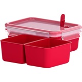 Emsa CLIP & MICRO Rectangular Caja 1 L Rojo, Transparente 1 pieza(s) rojo, Caja, Rectangular, 1 L, Rojo, Transparente, Plástico, Alemania