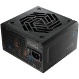 FSP VITA PM 1000W, Fuente de alimentación de PC negro