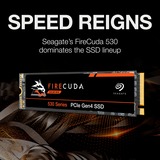 Seagate FireCuda 530 M.2 500 GB PCI Express 4.0 3D TLC NVMe, Unidad de estado sólido 500 GB, M.2, 7000 MB/s