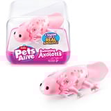 ZURU 9556 Juegos, juguetes y pegatinas de baño, Muñecos Pets Alive 9556, Figurita de baño, Niño/niña, 3 año(s), AG13, Colores surtidos