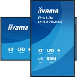 iiyama LH4375UHS-B2AG, Pantalla de gran formato negro (mate)