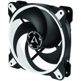 ARCTIC BioniX P120 Carcasa del ordenador Ventilador 12 cm Negro, Blanco negro/blanco, Ventilador, 12 cm, 2100 RPM, 25,5 dB, 67,56 cfm, 114,79 m³/h