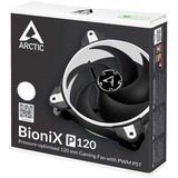 ARCTIC BioniX P120 Carcasa del ordenador Ventilador 12 cm Negro, Blanco negro/blanco, Ventilador, 12 cm, 2100 RPM, 25,5 dB, 67,56 cfm, 114,79 m³/h